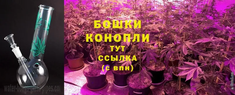 Каннабис White Widow  ссылка на мегу   Анжеро-Судженск 